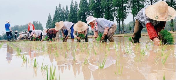 1630916787394556.jpg 1.jpg