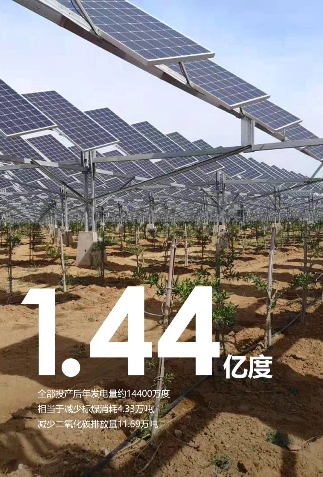 1632902862586233.jpg 图片3.jpg