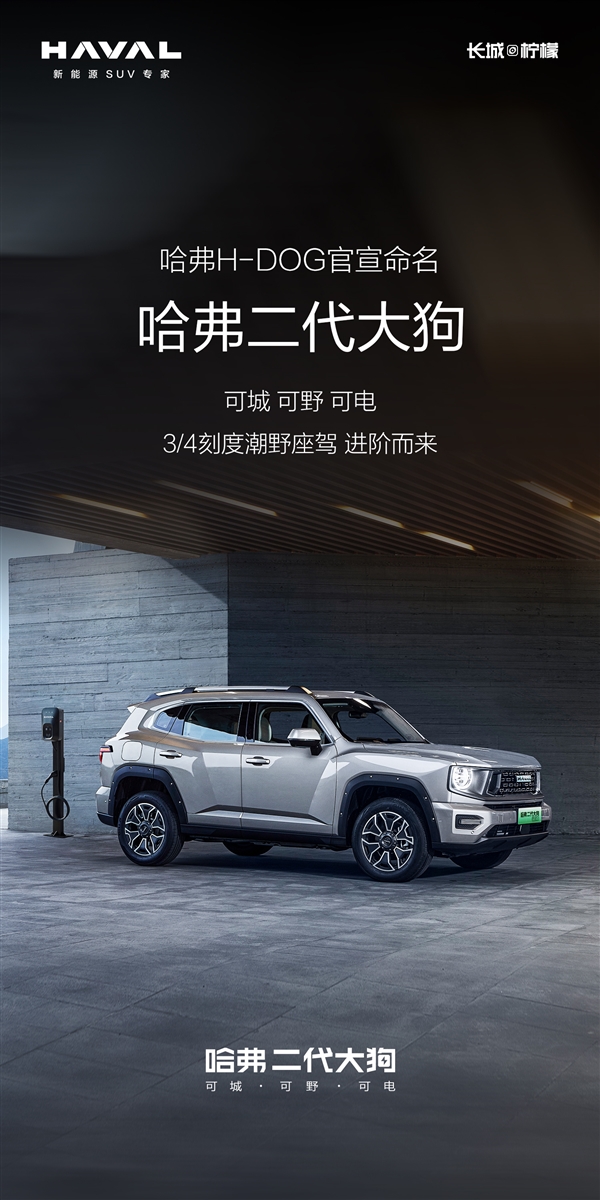 1675823442731633.jpg 1.jpg