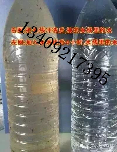 厂家直销清理水线水质净化改良剂,水勿忧,净水900ml养殖设备